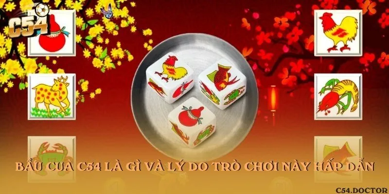 Bầu cua C54 là gì và lý do trò chơi này hấp dẫn