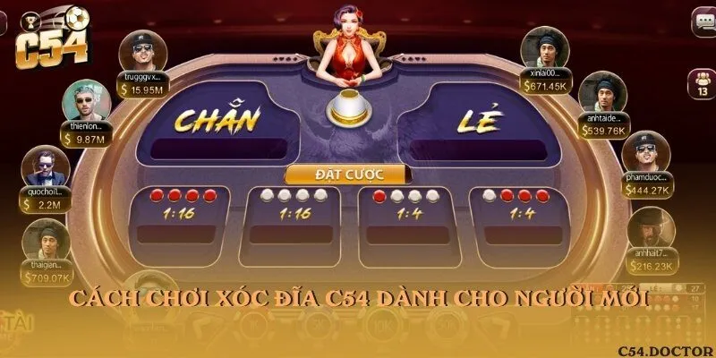 Cách chơi Xóc đĩa C54 dành cho người mới