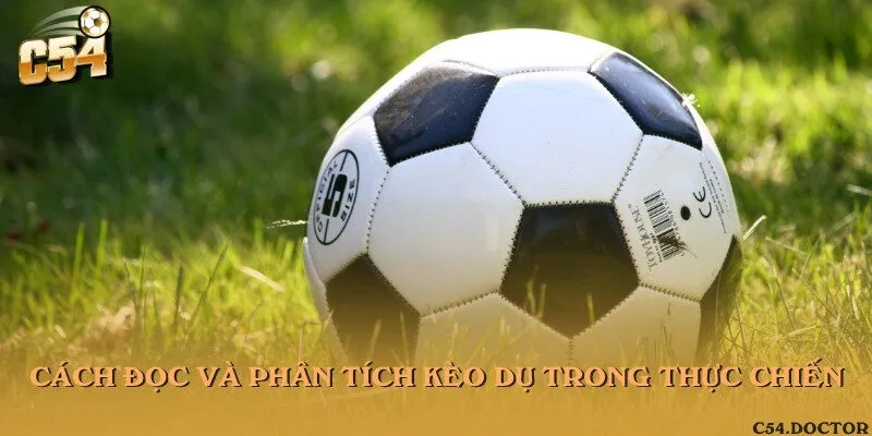 Cách đọc và phân tích kèo dụ trong thực chiến