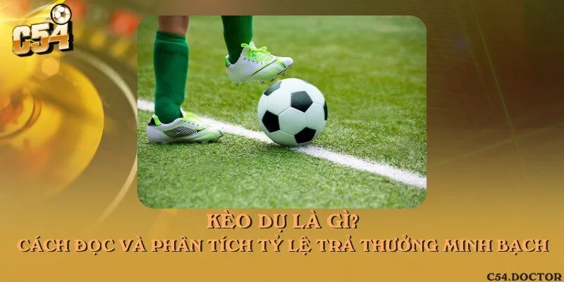 Kèo dụ là gì? Cách đọc và phân tích tỷ lệ trả thưởng minh bạch