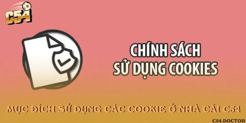 Mục đích áp dụng các loại cookie vào nhà cái